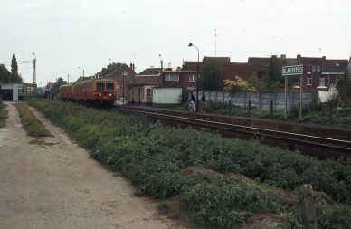 Blaasveld - TH 82-8356.jpg